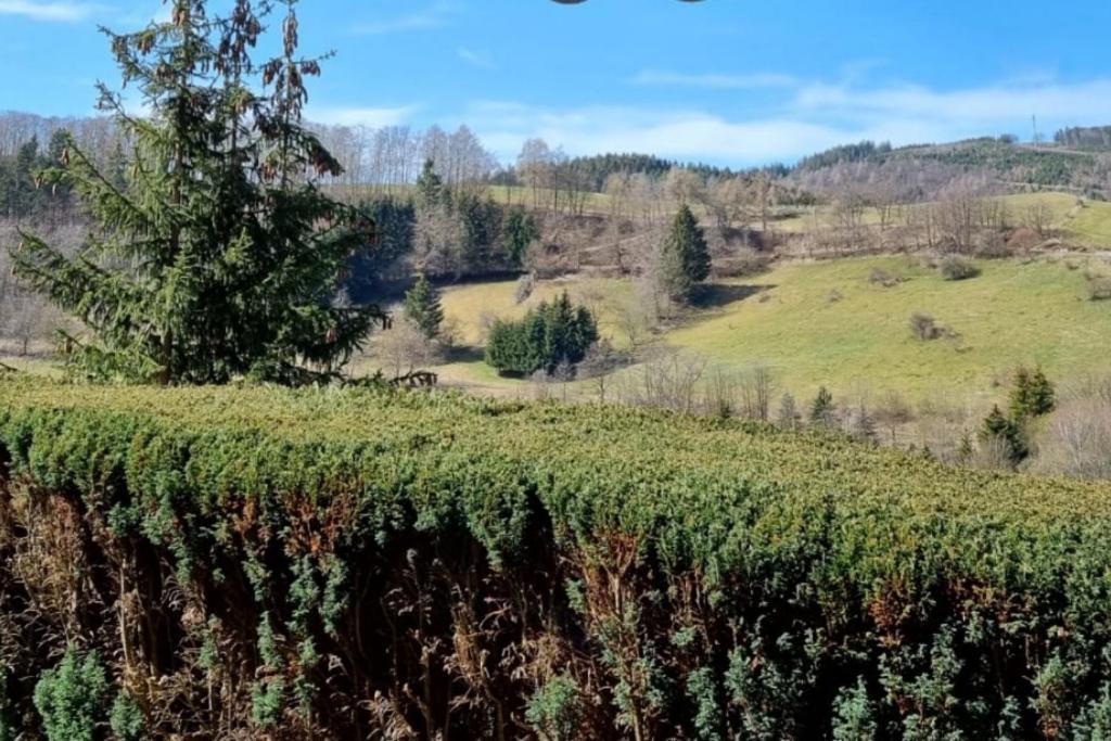 Ferienwohnung Aartalblick Willingen Willingen  Bagian luar foto