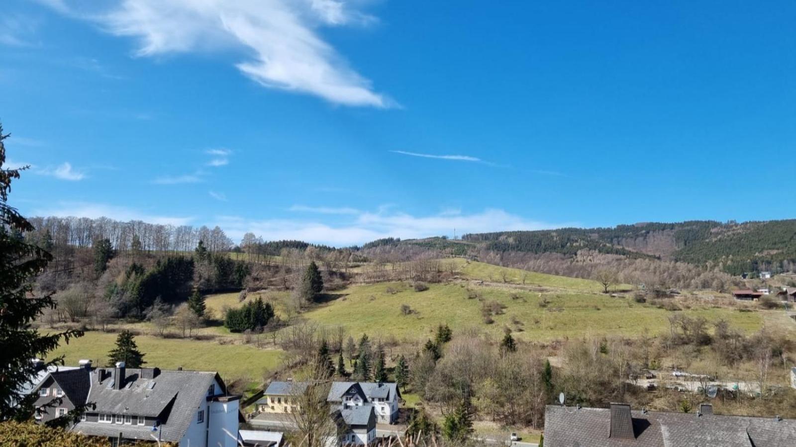 Ferienwohnung Aartalblick Willingen Willingen  Bagian luar foto