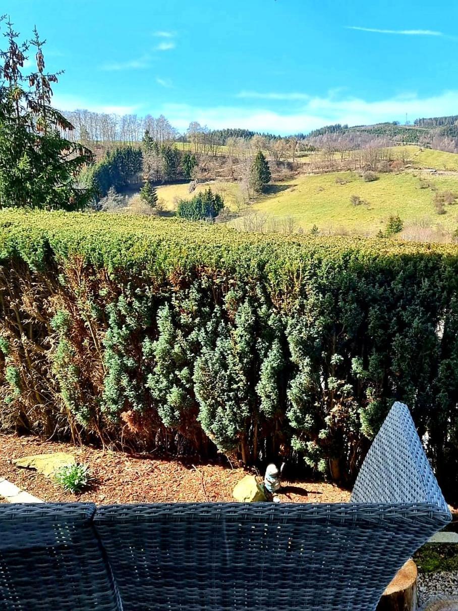 Ferienwohnung Aartalblick Willingen Willingen  Bagian luar foto